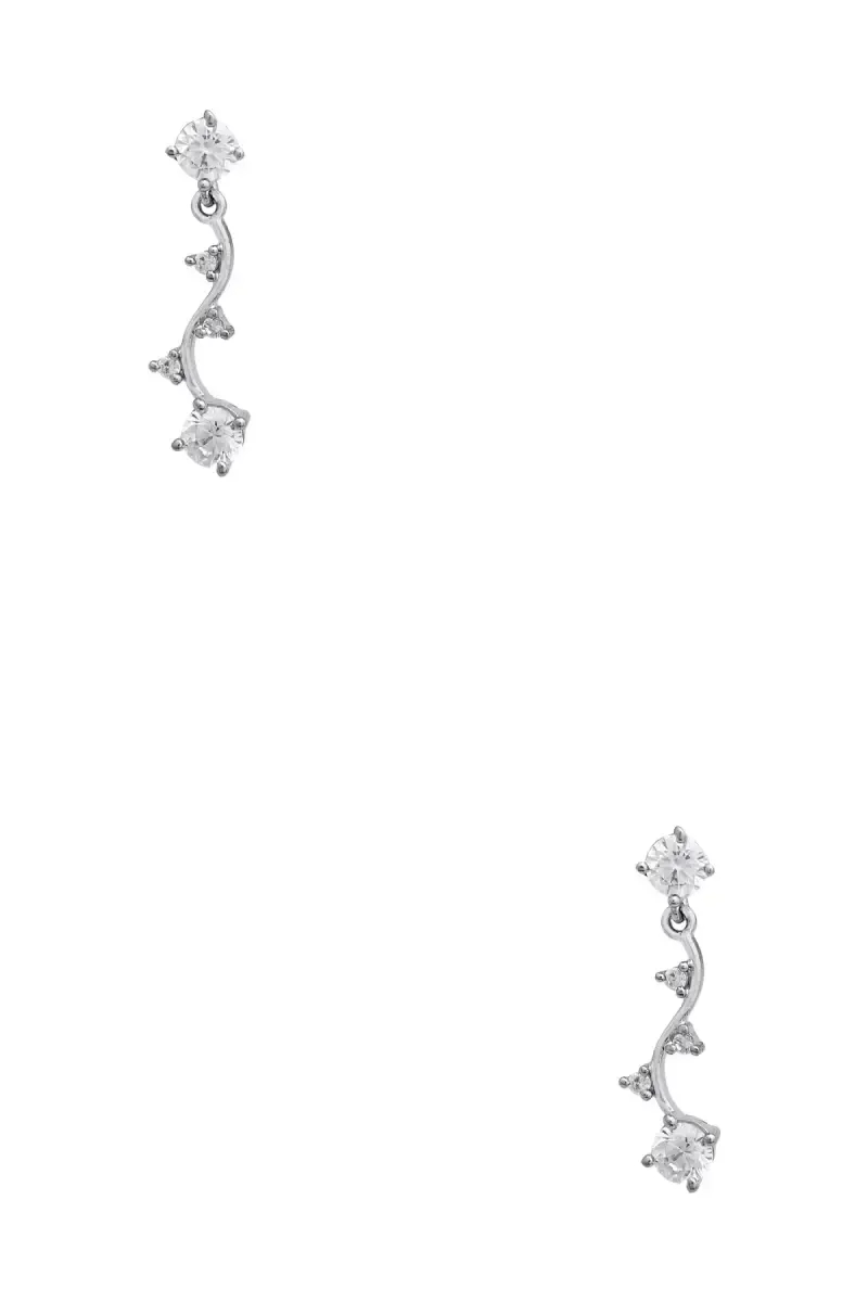 Elegant Silver Vine Drop Earrings for Women