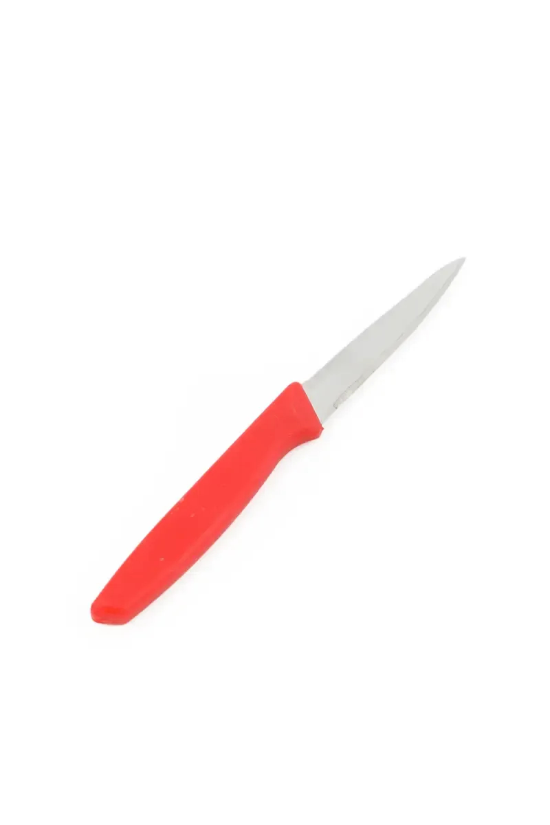 Prabha Stainless Steel Fruit Knife - 18cm