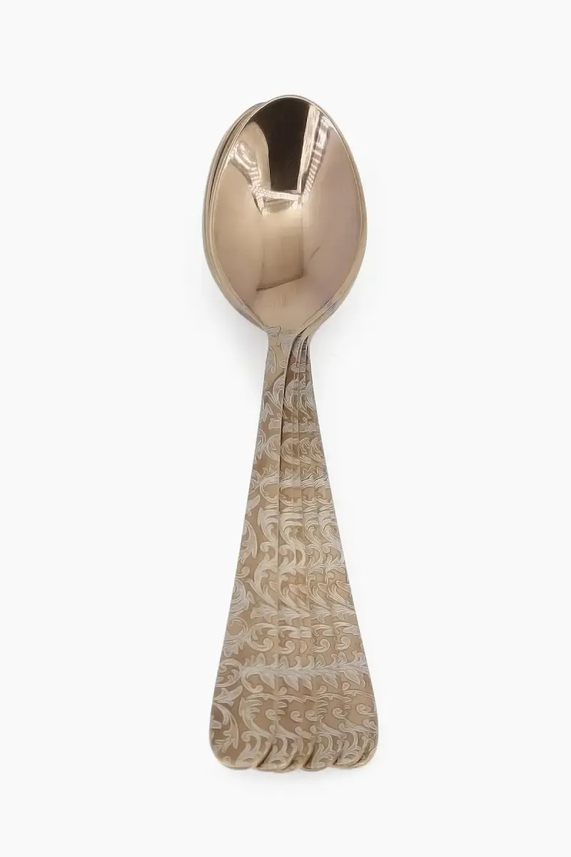 Prabha Stainless Steel Ebony Tea Spoon Set  - 14m