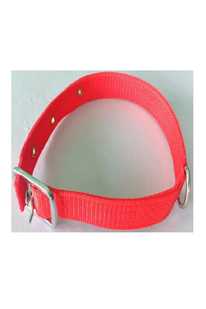 Canine Nylon Solid Dog Collar (Red) - 1.5 Cm