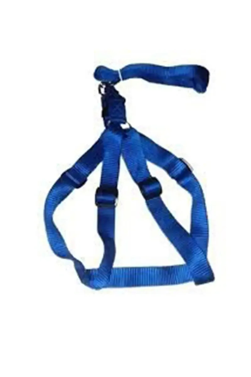 Canine Collar Leash For Dogs (Blue) - 3.0 Cm