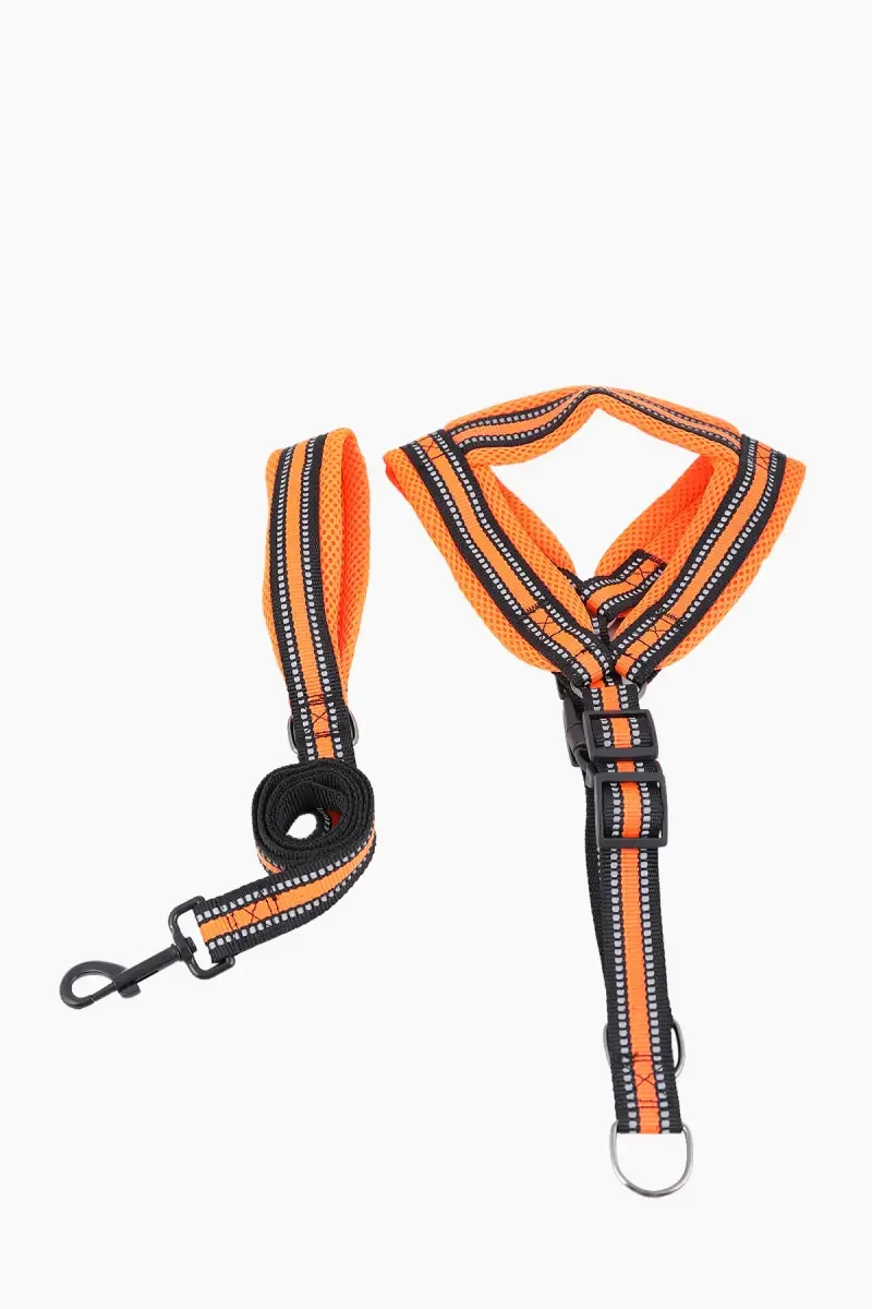 Petshop7 Nylon Mesh Body Collar Set For Dogs (Multicolor) - 1.5 Cm
