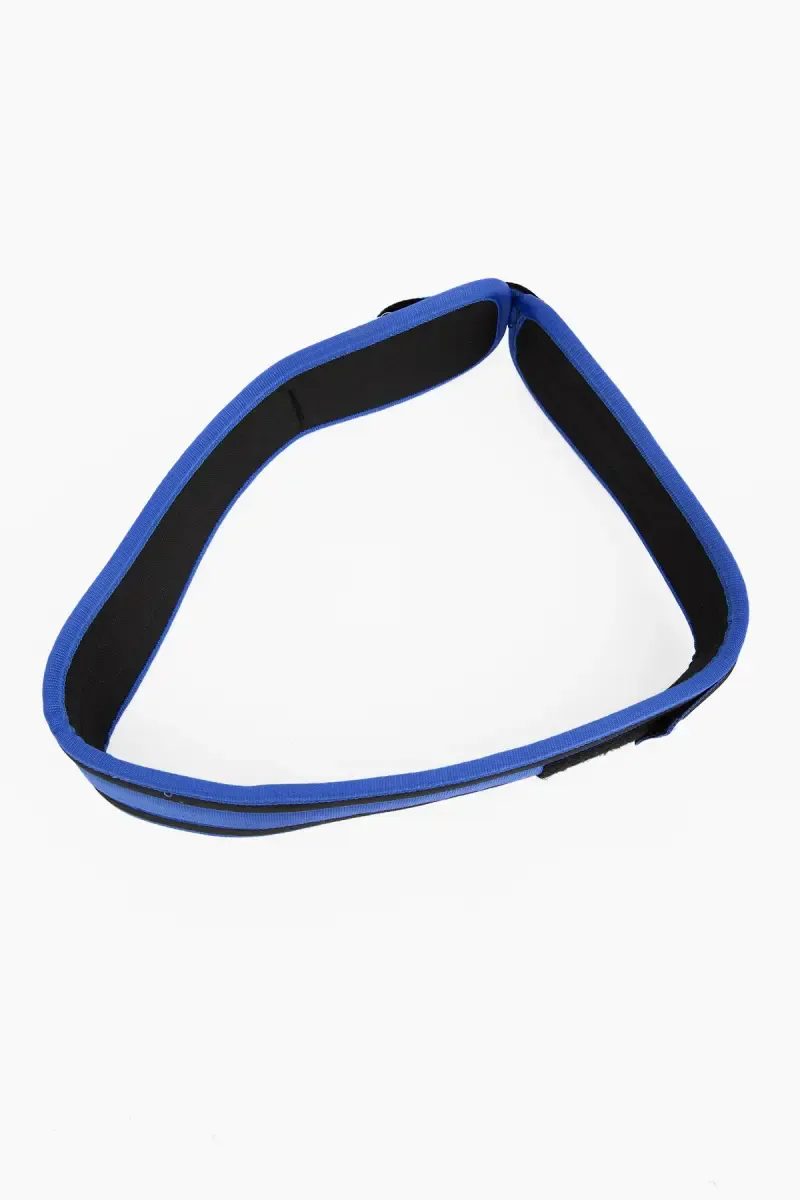 Dublin Back Support Weight lifting Gym Belt - (Blue, Large)