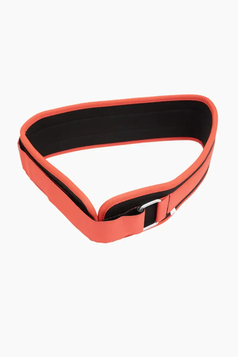 Dublin Back Support Weight lifting Gym Belt - (Red, Large)