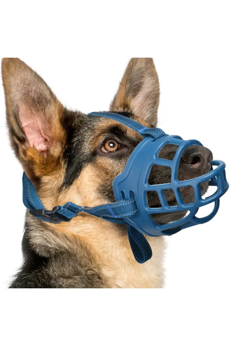 Super Chain Dog Muzzle Set (Blue) - Large