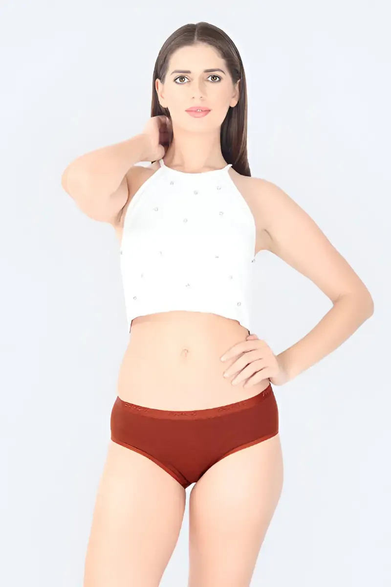Prithvi Vina Plain Pure Cotton Panties for Women