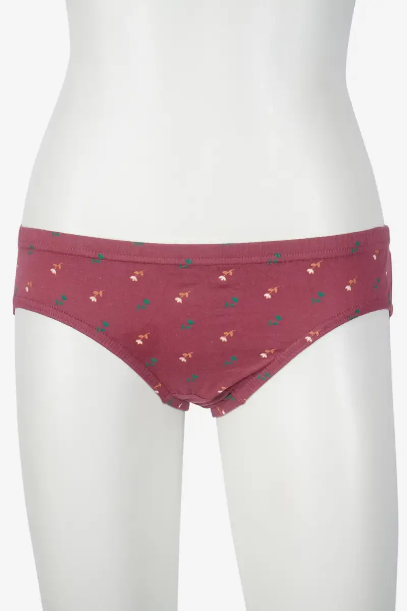 Prithvi Printed Cotton Panties for Women