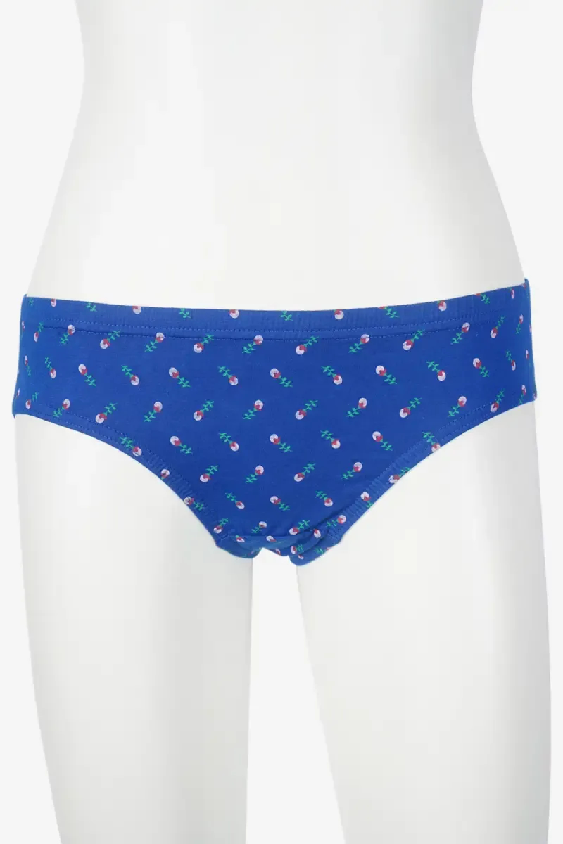 Prithvi Printed Hipster Panties for Women