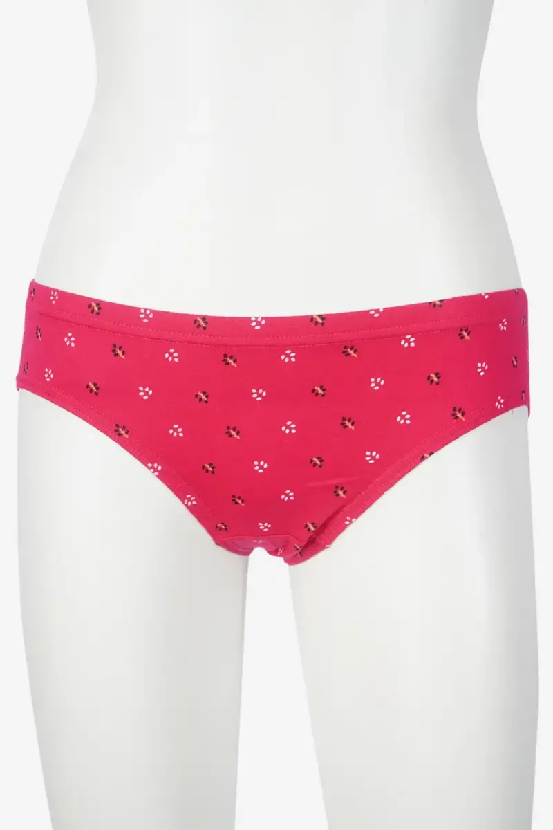 Prithvi Cotton Hipster Panties for Women
