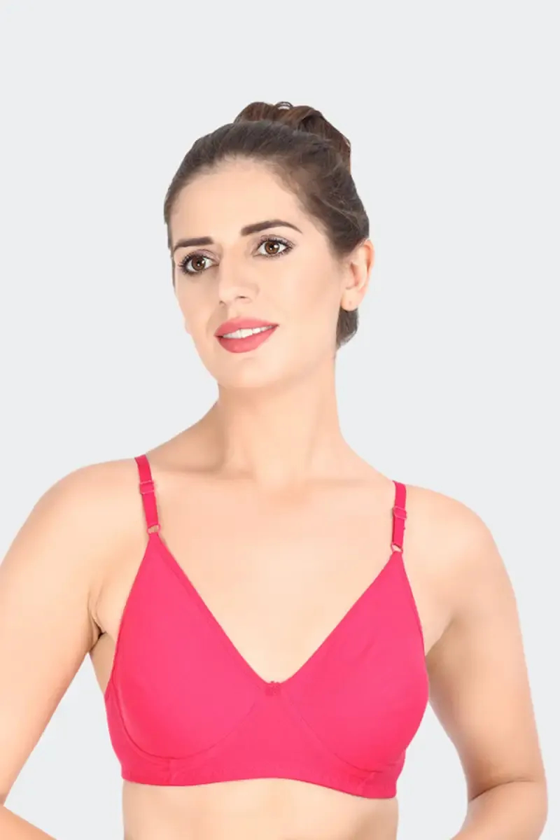 Prithvi Rosni Full Coverage Bra for Women