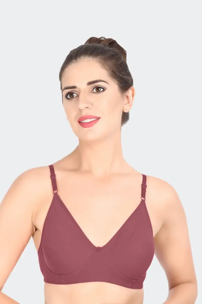 Prithvi Rosni Full Coverage Bra for Women