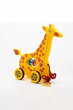 product-Image