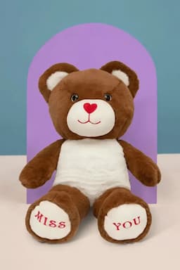 Super Soft Fabric Fluffy Bear Soft Toy (Design may vary) 010648BRO