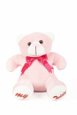 Teddy Plush Stuffed Toy (10 Inch) 011739PIN