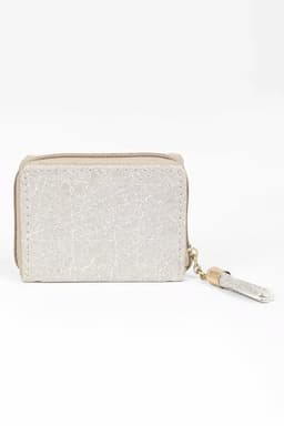 Glittering Small Coin Purse for Girls and Women 013119ASH