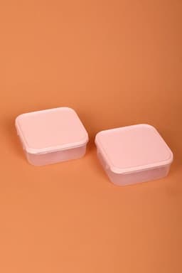 All Time Plastic Polka Containers, Set of 2 - 500ml (Each) 018227PIN500