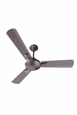 Havells Festiva ES 1200mm 1 Star Rated Premium Finish 3 Blade Ceiling Fan (Espresso Brown) 020558FESESESPBRO