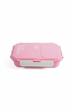 Asian Plastic & Stainless Steel 2 Compartment Lunch Box - 650 ML 030115PIN1