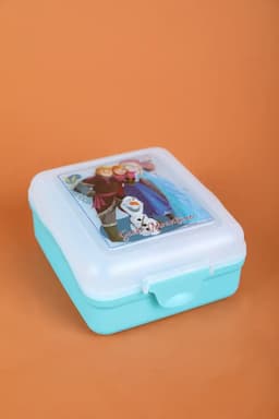 SKI Plastic Printed Lunch Box Set - 550ml 021297AQUFRO2