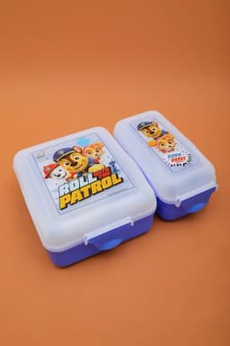 SKI Plastic Printed Lunch Box with Container & Cutlery - 850 ML 021298BLU2