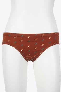 Prithvi Printed Cotton Panties for Women 02968075CBRO